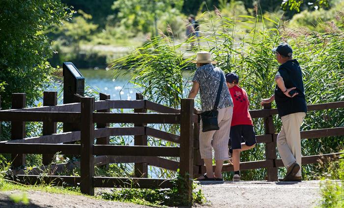 A unique blend of countryside, activity adventures and history, all in one of the finest country parks in South Wales covering 100 hectares.
